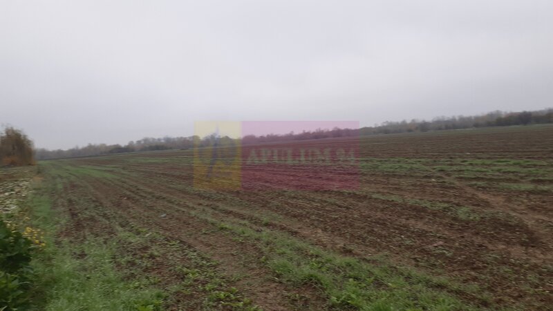 Teren Investitie aproape de Bucuresti