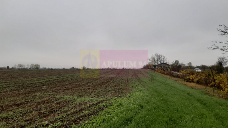 Teren Investitie aproape de Bucuresti