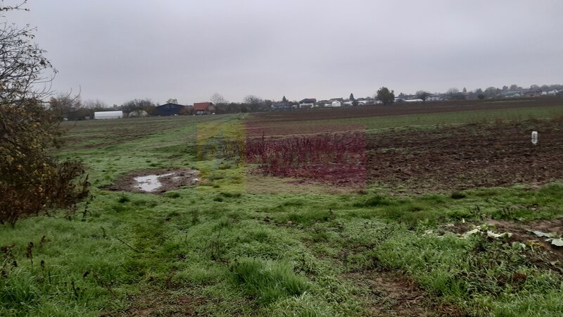 Teren Investitie aproape de Bucuresti