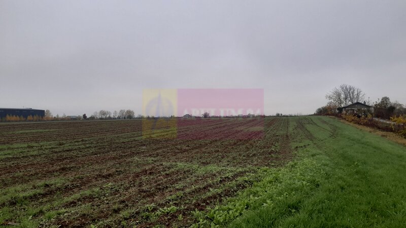 Teren Investitie aproape de Bucuresti