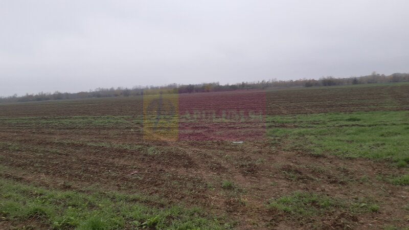 Teren Investitie aproape de Bucuresti