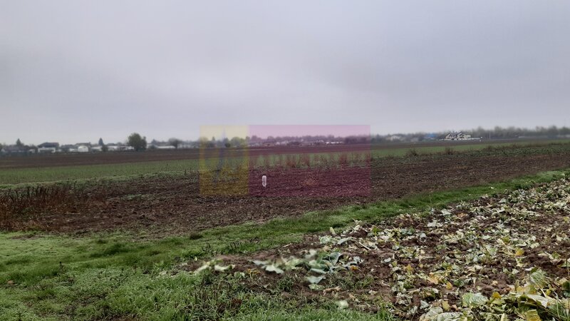 Teren Investitie aproape de Bucuresti