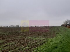 Teren Investitie aproape de Bucuresti