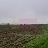 Teren Investitie aproape de Bucuresti